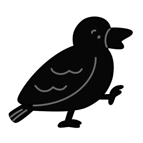 Y’s Crow